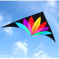 hot【DT】❁☏  free shipping 2m large delta kite flying toys line kids kites factory flight string reel beach parrot