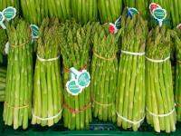 เมล็ดพันธุ์ หน่อไม้ฝรั่ง เมรี่วอชิงตัน (Mary Washington Asparagus Seed) บรรจุ 60 เมล็ด คุณภาพดี ราคาถูก ของแท้ 100%(เมล็ดพันธุ์พืช เมล็ดดอกไม้ พรรณไม้ ต้นไม้ เมล็ดพันธุ์ผัก พันธุ์ไม้ผล ผักซอง ผักสวนครัว plants plant )