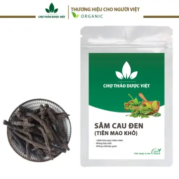 Triterpen saponins được tìm thấy trong phần nào của cây sâm cau đen?
