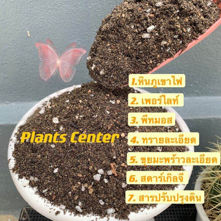 plants-center-พร้อมส่ง-1-กิโลกรัม-ดินปลูก-แคคตัส-กระบองเพชร-ผสมสำเร็จ-ผสมครบทุกอย่าง-ไม่ต้องซื้อแยก-ขนาด-1-กิโลกรัม