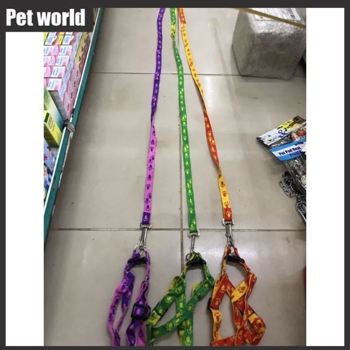 Pet world Dog Leash Harness 4ft medium dogs Lazada PH