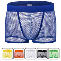 9 Color y Mens Boxers Shorts Transparent Mesh See Through Net Mesh Underpants Low Rise Man y Underwear