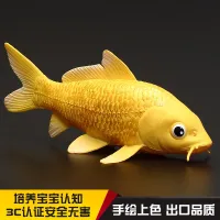 Childrens solid simulation marine life animal model toy decoration gold koi flower spine fish ornamental