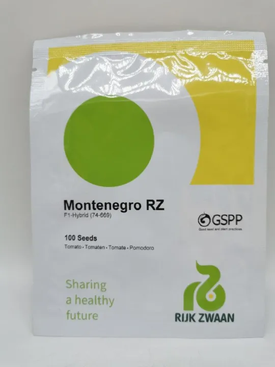 MONTENEGRO TOMATO 100 SEEDS BY RIJK ZWAAN Lazada PH