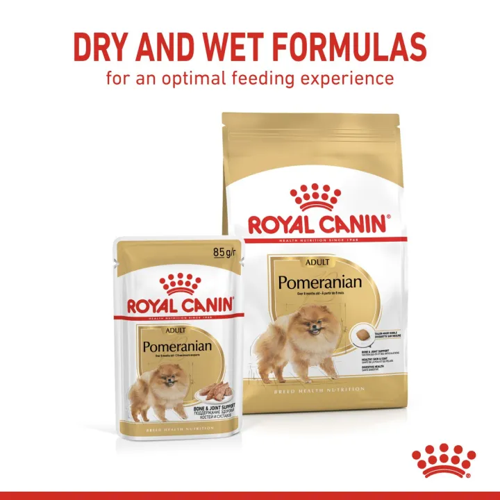 12ซอง-royal-canin-pomeranian-wet-85g-อาหารเปียกสำหรับสุนัขสายพันธุ์ปอมเมอเรเนียน