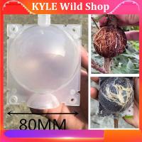 KYLE Wild Shop 8cm Garden Fruit Tree Plant Rooting Ball Root Growing Boxes Case Grafting Rooter Grow Box Breeding Garden Tools Supplies