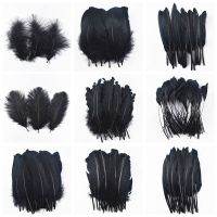 20pcs/Lot Dyed Black Feathers Rooster Goose Feathers for Jewelry Making Ostrich Pheasant Feathers for Crafts Carnaval Assesoires