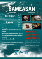 [ผ่อน 0%] Dive Package Day Trip หมดอายุ 31 May 2024