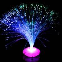 ZLinKJ 1PCS Beautiful Romantic Changing LED Fiber Optic Nightlight Lamp small Color night light Chrismas Party Home decoration Night Lights