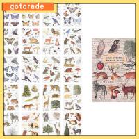 GOTORADE 20sheets สัตว์เลี้ยงสำหรับสัตว์เลี้ยง สติกเกอร์ติดผนัง หลากสี สติกเกอร์รูปนก สติ๊กเกอร์วินเทจ สติกเกอร์รูปสัตว์ ดีไอวาย