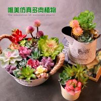 (Baixiang Flower City)   ☢❍▲ New Fake Meaty Plant Simulation Flower Small Potted Bonsai Fleshy Household Indoor Green Plant Desktop Sitting Room Adornment Flowers