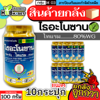 ?? สินค้ายกแพ็ค ?? ไธอะโนซาน 100กรัม*10กระปุก (ไทแรม80%WG) ป้องกันเชื้อราแบคทีเรีย ไฟท๊อป