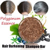 Hair Darkening Shampoo Bar Conditioner and Repair Color