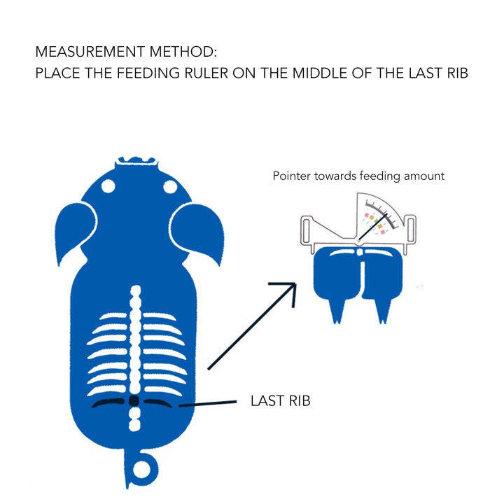 ก้ามปูไขมันหลังหว่าน-ชนิดตัวชี้ไม้บรรทัดการให้อาหารสุกร-ขนาดกะทัดรัดพร้อมที่จับพลาสติกสำหรับฟาร์มสัตว์ปีก