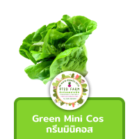 เมล็ดพันธุ์ กรีนมินิคอส Green Mini Cos ประมาณ 110 เมล็ด (0.1กรัม)  [10แถม1]  เมล็ดพันธุ์ ผักสลัด อัตราการงอกดี