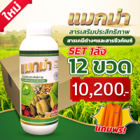 SV289 แมกม่า Maxma สารจับใบ สารเสริมประสิทธิภาพสูตรเข้มข้นพิเศษ ขนาด1ลิตร12ขวดใช้ผสมได้มากถึง 10,000 ลิตร ยาจับใบ หรือจับใบพืช ชนิดทนการชะล้าง