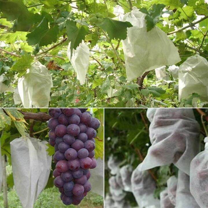 100pcs-fruit-protection-bag-plant-grow-bags-non-woven-fabric-for-grapes-vegetable-apples-pouch-mesh-bag-garden-accessories-tools