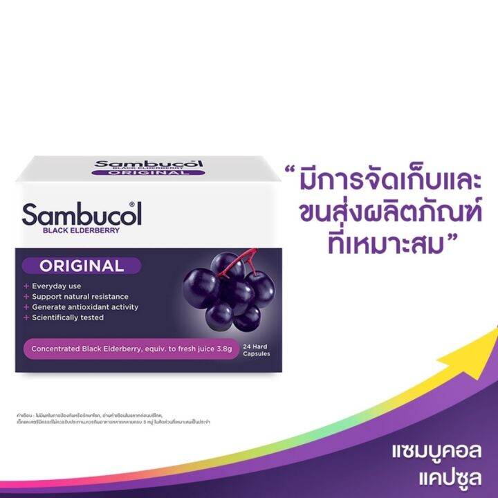 sambucol-black-elderberry-original-24-hard-capsules-แซมบูคอล-แบล็ค-เอลเดอร์เบอรี่-ออริจินอล-แคปซูล