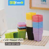 กระถางต้นไม้พลาสติกยกโหล 2.7นิ้ว หนาพิเษศ สีพาสเทล Color Cube ขนาด 7x7cm 6 สี ชุดละ 12 ใบ ปลูกต้นไม้มงคล กระบองเพรช