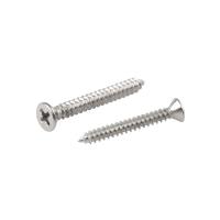 สกรูเกลียวปล่อย TF 7X1-1/4 นิ้ว 25 ตัวSELF-TAPPING SCREW TF FITT 7X1-1/4" 25EA **สินค้าแนะนำ**