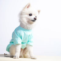 Mint Basic Tee for dogs, cats, and rabbits เสื้อยืดสำหรับน้องหมา แมว กระต่ายสีเขียวมิ้นท์