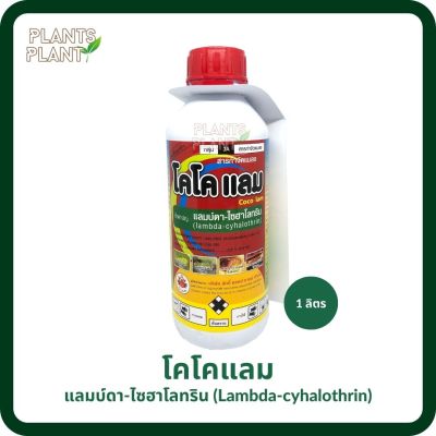 แลมบ์ดา-ไซฮาโลทริน (Lambda-cyhalothrin) 1ลิตร โคโคแลม สารกำจัดศัตรูพืช กำจัดแมลง กำจัดเพลี้ย หนอน ยาเย็น