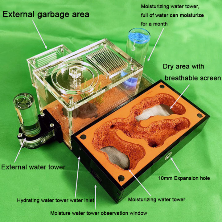ฟาร์มมดให้ความชุ่มชื้นสูงพร้อมหอเก็บน้ำภายนอก-anthill-insect-castle-ant-nest-ดินสีเหลือง-ant-house-ยิปซั่ม-ant-kennel