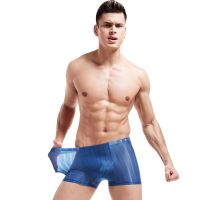 [COD] Wholesale Silk Panties Three-dimensional Mens Shorts AliExpress Mid Waist Pants