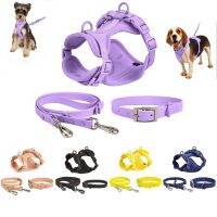 ใหม่ Four Seasons Pvc Puppy Basic Collar สายรัดหน้าอกสุนัข Quick Release ส่วนบุคคลสีทึบ Leash สัตว์เลี้ยงชุดอุปกรณ์-Youerd