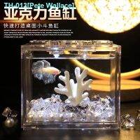 ✼ Web celebrity desktop mini yakeli Thailand bettas are special blocks aquarium small ornamental fish fish landscape