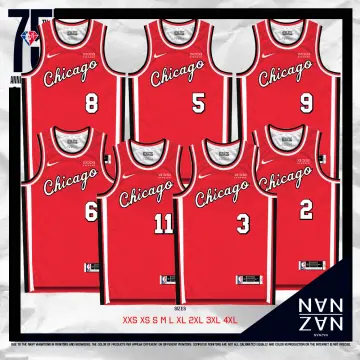 75th Edition NBA Chicago Bulls Alex Caruso Basketball Jersey 2022