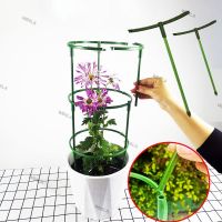 2/5pcs Flowers Plastic Plant Support Pile Holder Stand round for tomato Greenhouse Arrangement Rod Orchard Garden Bonsai Tool W6TH