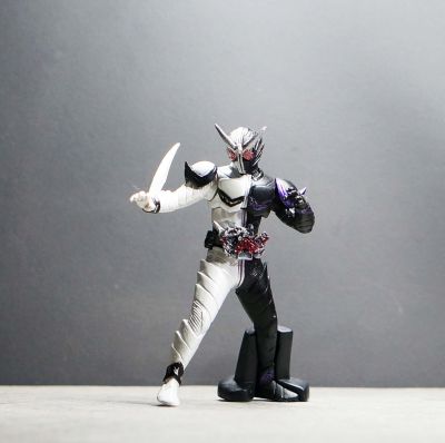 Bandai DG W Fang กาชาปอง คาเมนไรเดอร์ สะสม HG Kamen Rider Gashapon Masked Rider Joker Double