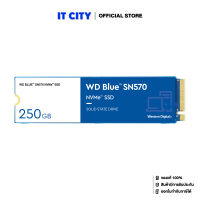 WD BLUE SN570 250GB SSD NVMe M.2 2280 (WDS250G3B0C) (5Y) MS6-000164