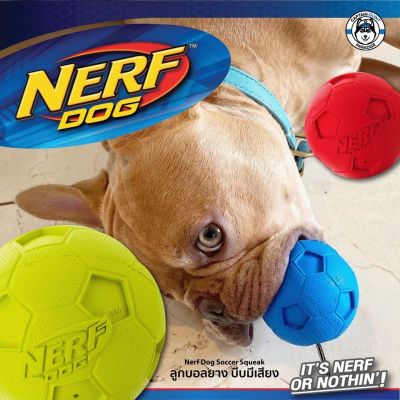 Nerf Dog Soccer Squeak Ball ของเล่นสุนัข ลูกฟุตบอลเคี้ยวมัน กัดมีเสียง เนื้อยางผสมไนล่อน