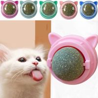 [New pet products]ที่ติดผนังแบบแท่งบนลูกบอลของเล่นแคทนิปธรรมชาติจะช่วยขจัดลูกบอลมีขนเพื่อส่งเสริมการย่อยสลายขนมหญ้าสัตว์เลี้ยง