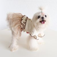 Retro Star Flying Sleeve Skirt  Dog Clothes Teddy Bichon Pomeranian Small Dog Autumn  Clothes Princess Dress Small Dog Dress Dresses