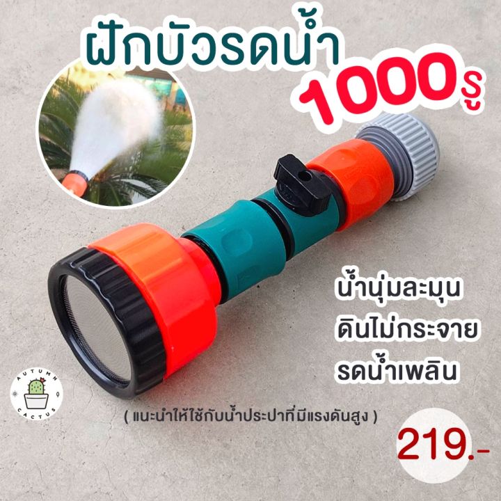 ฝักบัวรดน้ำ-1000-รู-บัวรดน้ำแคคตัส-มีวาล์วปิดเปิด-ข้อต่อสวมเร็ว-รดน้ำนุ่ม-ดินปลูกไม่กระจาย-รดน้ำต้นไม้