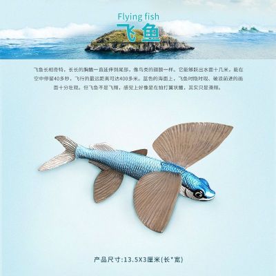 Childrens early education cognitive toys simulation kam fish Marine animal model kindergarten teaching items furnishing articles