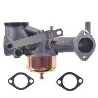 Mechanical Carburetor Set Mechanical Carburetor Mechanical Carburetor Kit 491590 7-9Hp 390811 392152 191700