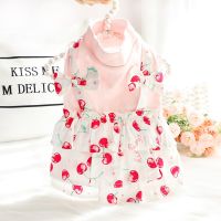 Pink Color Clothes for Small Dog Dresses for Spring and Summer Cute Sweet Dog Cotton Skirts Pet Clothes Small Puppy Clothes Dresses