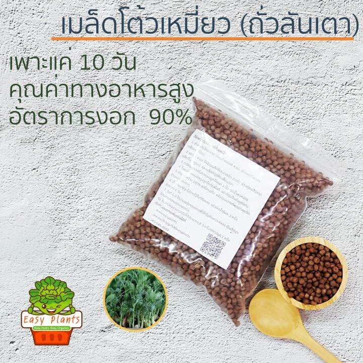 เมล็ดพันธุ์-โต้วเหมี่ยว-ต้นอ่อนถั่วลันเตา-อัตราการงอก-90-1-กิโลกรัม