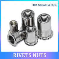 [HOT 2023] 5/20PCS 304สแตนเลส M3 M4 M5 M6 M8 M10 M12แบนหัวหมุดย้ำ Nut แนวตั้ง Stripe Rivet Nut แบนหัวทรงกระบอกน็อตไรเว็ตสังกะสี