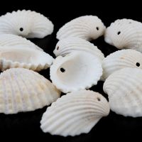 50pcs/Lot White Sea Shell Beads for Jewelry Making Accessories Beach Nautical DIY Shells DIY Bracelet Necklace Wholesale