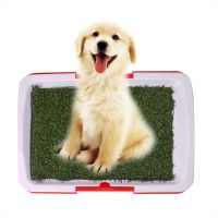 New Arrival Dog Potty Toilet Urinary Trainer Grass Mat Pad Patch Indoor Outdoor Home New