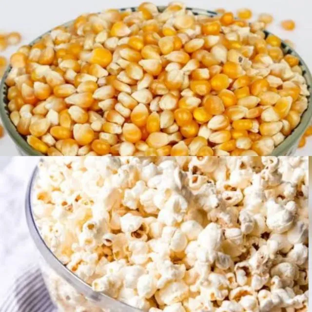 Promo Jagung Popcorn Mentah 1kg Lazada Indonesia 4852