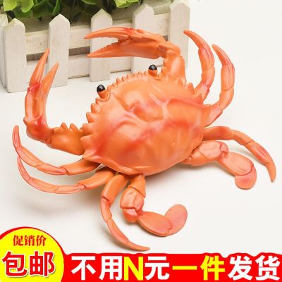 Simulation hairy crab crab shrimp soft rubber Marine animal model childrens early education cognitive toys voice crab