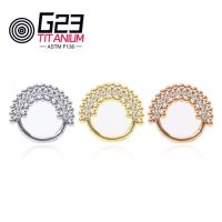Best Selling Earrings G23 ASTM F136 Titanium Septum Clicker Hoop Stud Hinged Segment Nose Ring Piercing Jewelry For Women 39;s