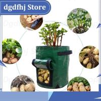 Dgdfhj Shop PE Planter Bag Potato Grown Bags Wall Vertical Garden Hanging Flower Vegetable Plants Pouch Pockets Garden Supplies