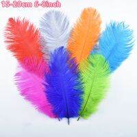 10Pcs/Lot Colored Feathers for Decoration 15-20CM Crafts Feather Needlework Wedding Accessories